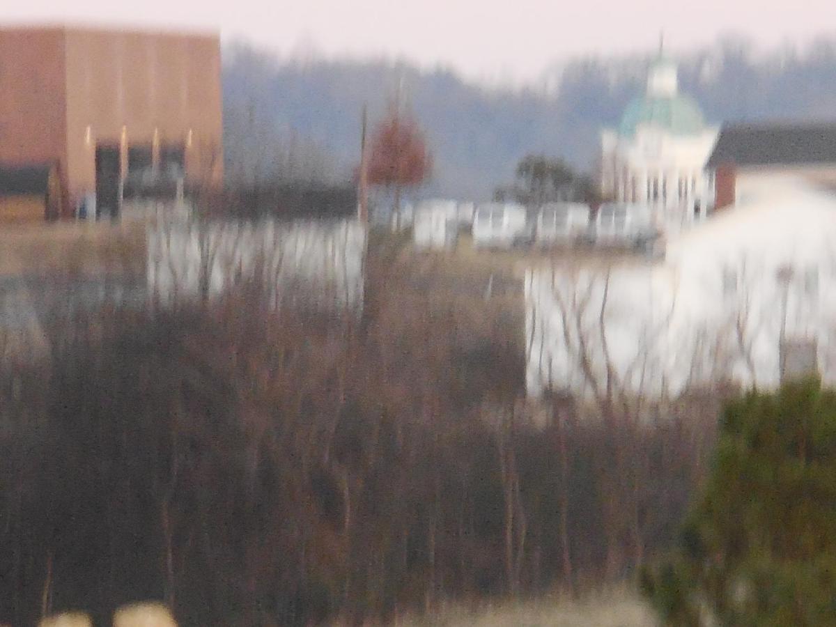 Giles Hotel Inn And Suites Pulaski Bagian luar foto